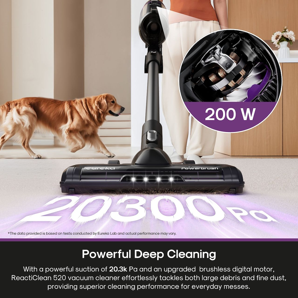 Eureka NEC520BK Cordless Vacuum Cleaner - Grey