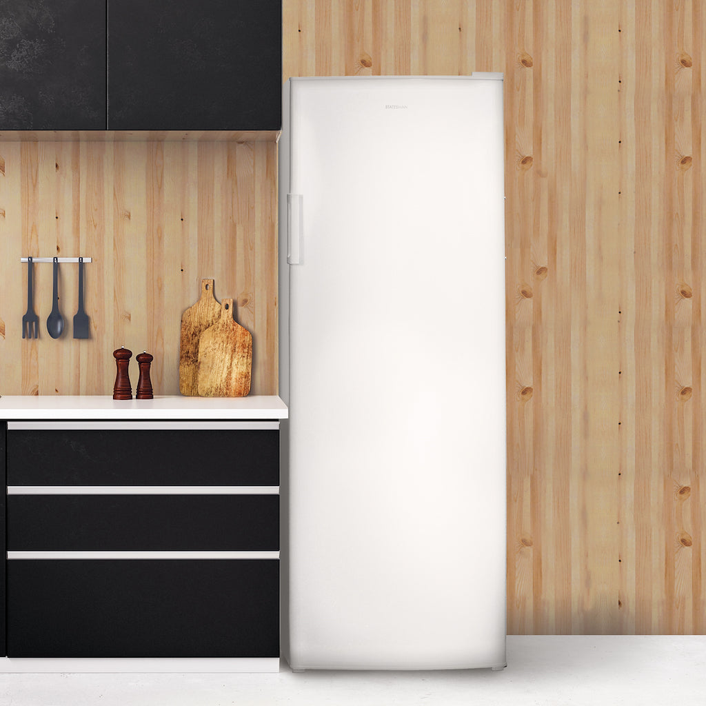 Statesman TF170LWE 60cm Tall Freezer