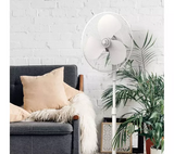 Igenix DF1655 16 Inch Pedestal Fan White